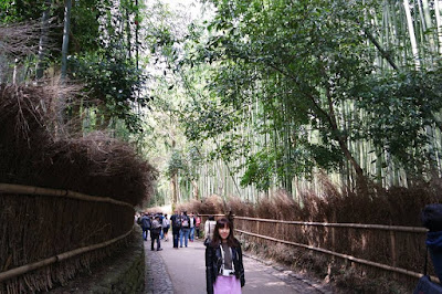 Crowded Arashiyama Bamboo Forest Kyoto
