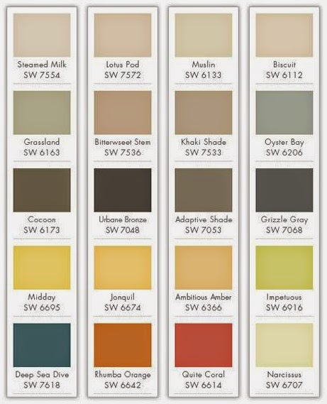 Color Palettes choices