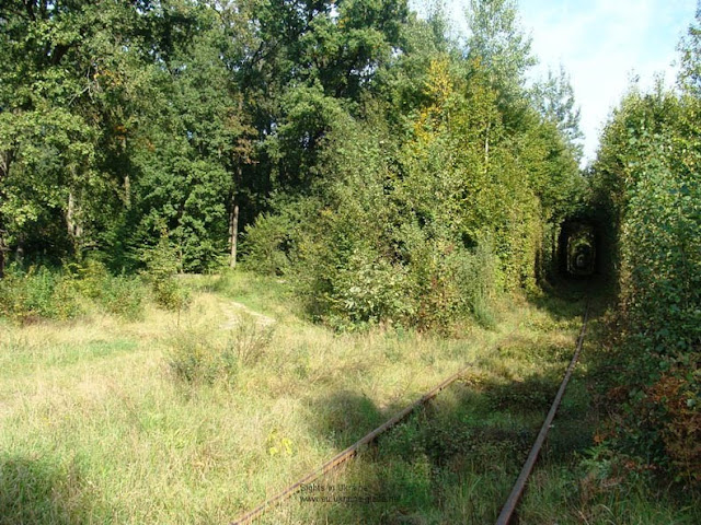 Túnel del Amor en Kleven, Ucrania