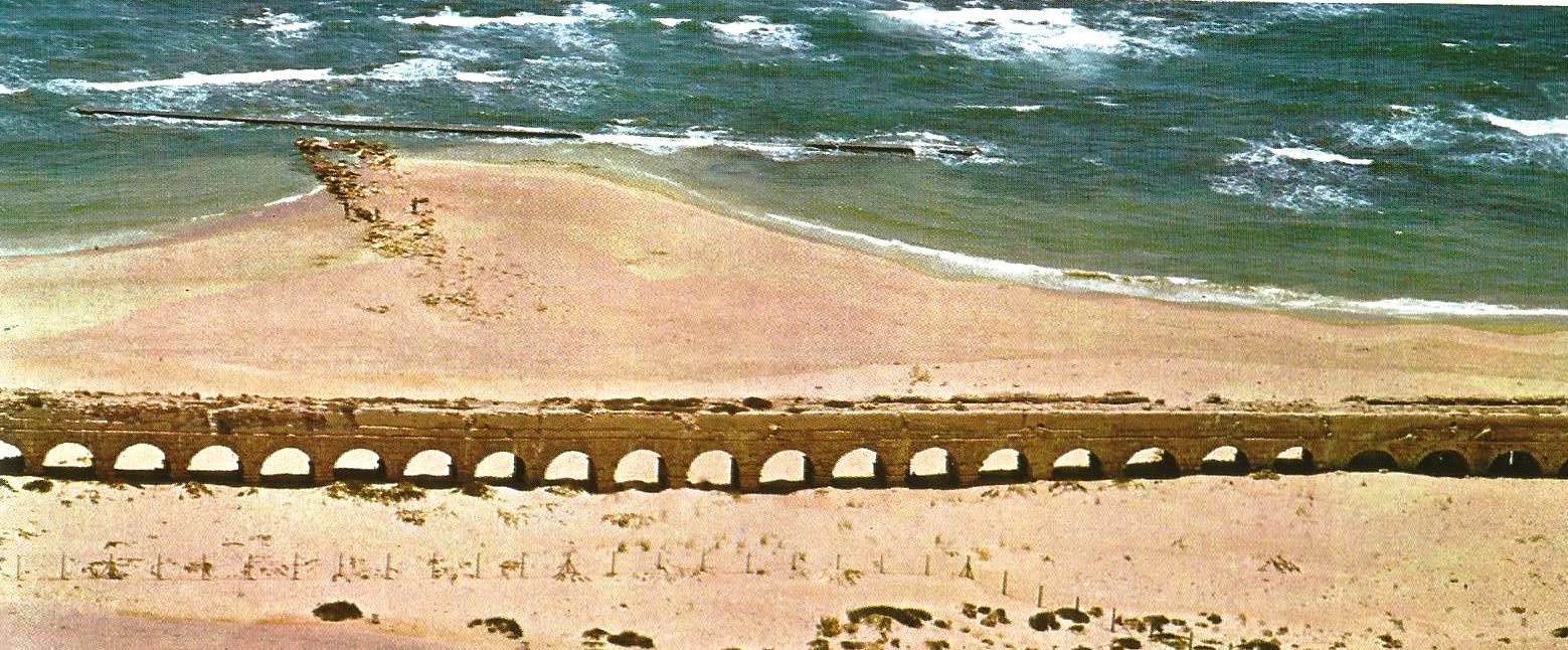 Bazilika море