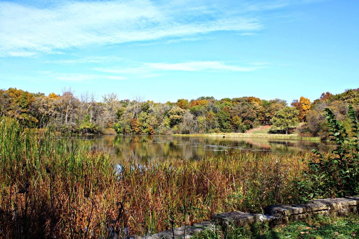 A Little Time and a Keyboard A Fall Walk at Deer Grove Forest Preserve