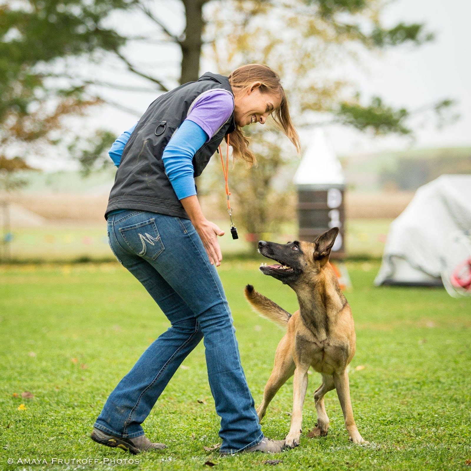 Fenzi Dog Training Academy Fenzi Dog Training Academy