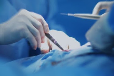 osmanli da culus bahsisi nedir kim kaldirdi kisaca big bilgi