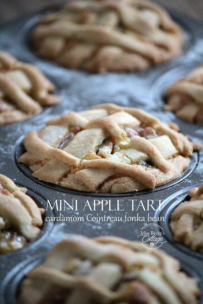 Mini apple tarts. Apples, Cointreau, cardamom, tonka bean photo rebeca sendroiu