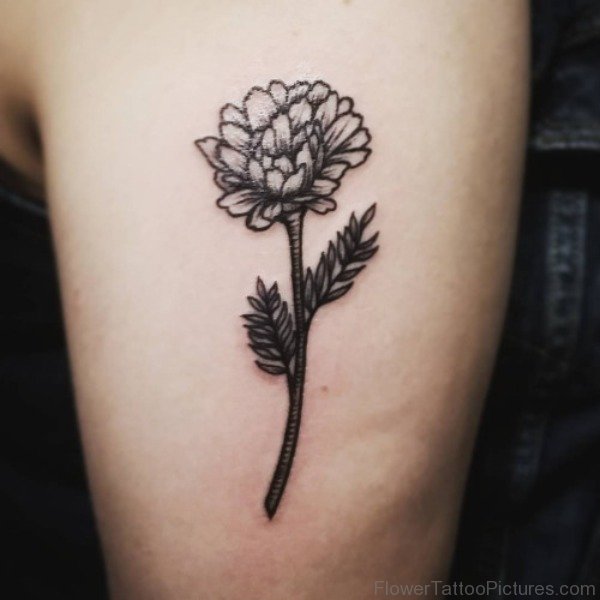 January Birth Flower Tattoo Ideas Wiki Tattoo