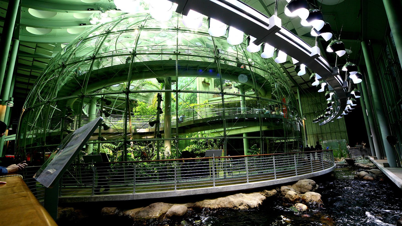 California Museum Of Science San Francisco Science Choices