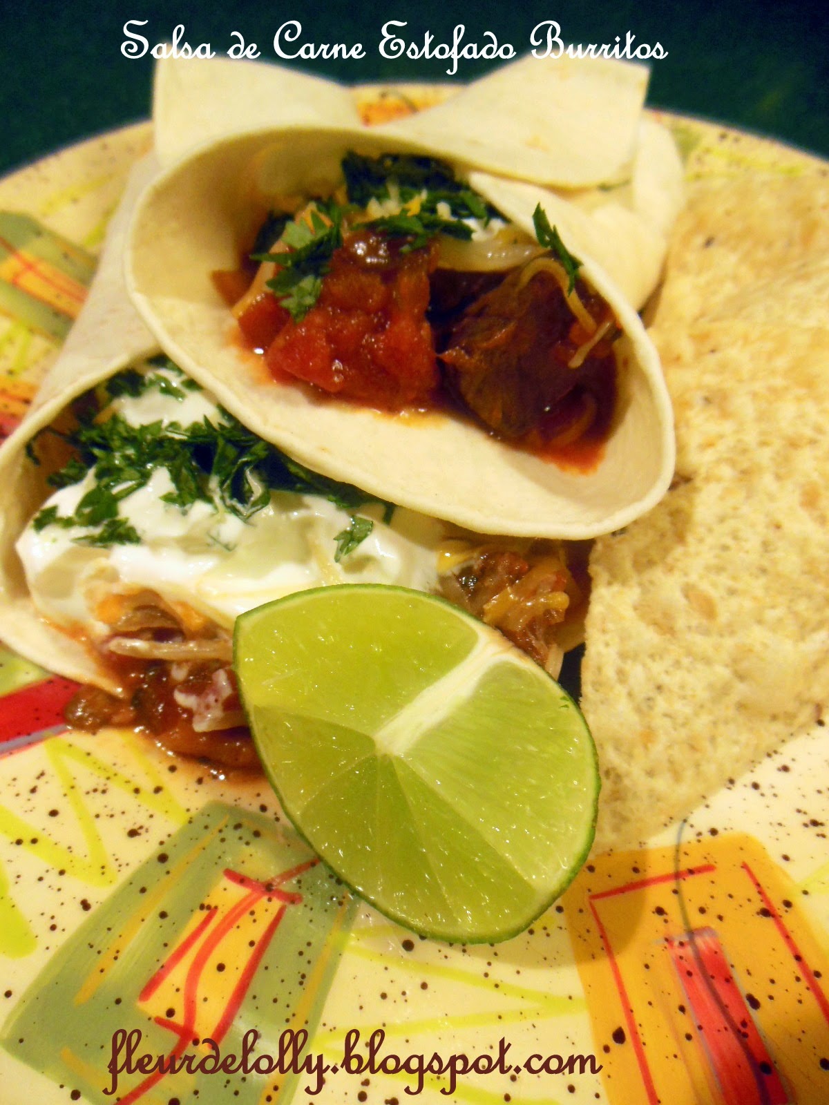 Fleur de Lolly Salsa de Carne Estofado Burritos Salsa Braised Beef