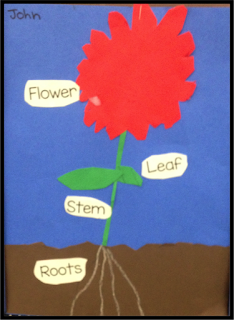 Parts of a plant art project for kindergarten. Easy paper craft art project to demonstrate the different parts of a plant and what plants need.