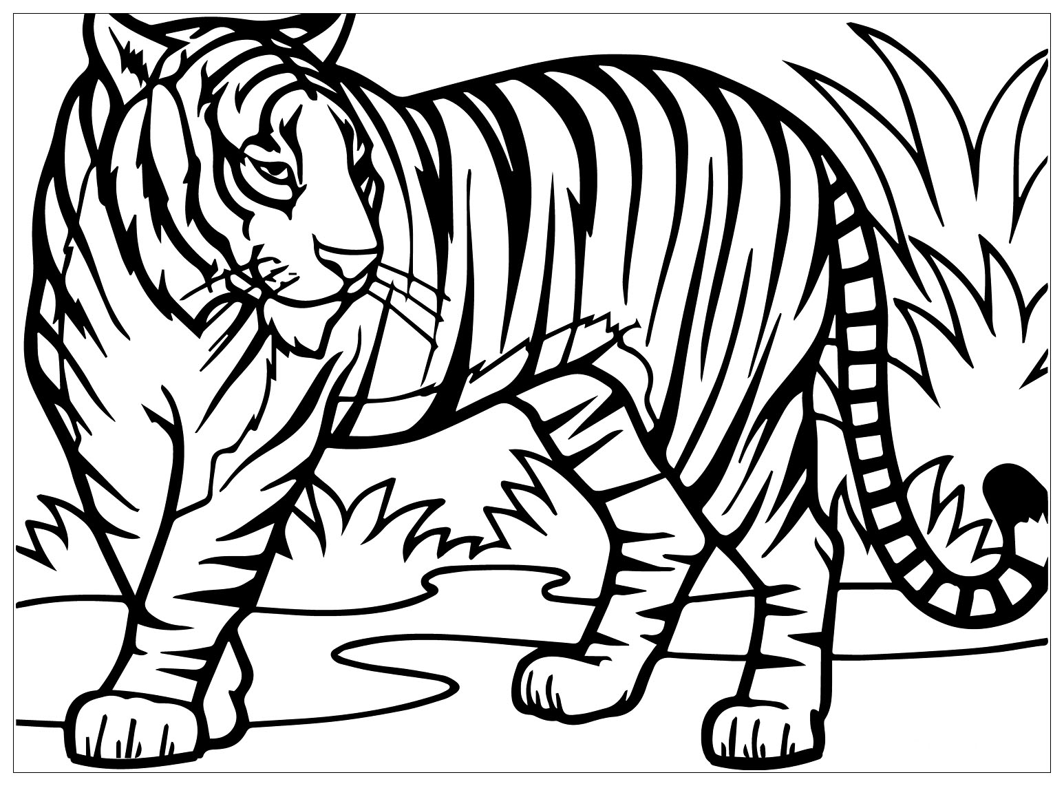 Tranh tô màu con hổ trên bãi cỏ
