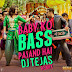 Baby Ko Bass Pasand Hai ( Sultan 2016 ) Badshah Dj Tejas Remix