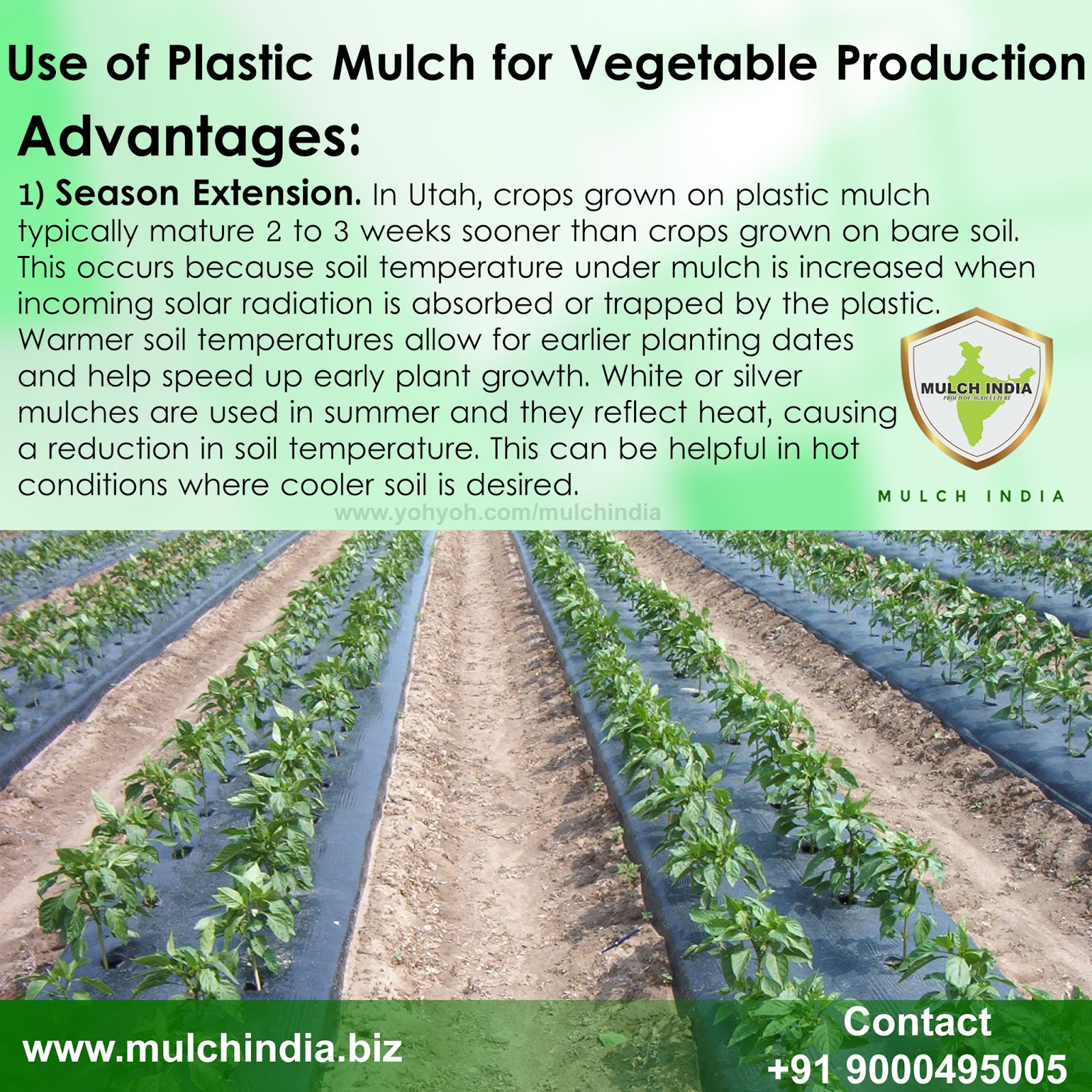 MulchIndia Using Plastic Mulch for Vegetable Production Mulch India
