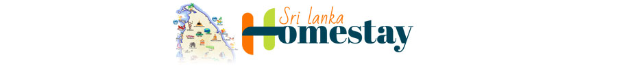 Lakdasun Trips - Travel Guide Blog - HomestaySrilanka