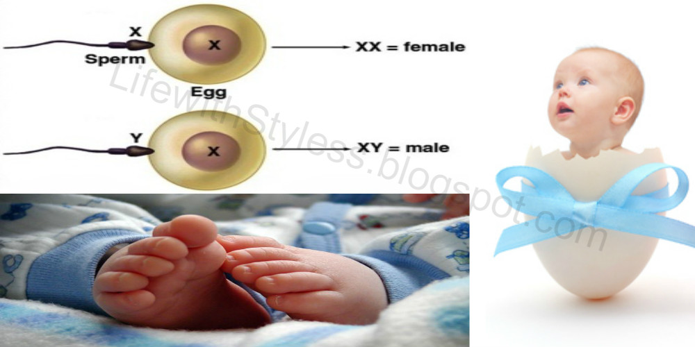 How To Get Pregnant With A Boy! Doctors Reveal!!! Life With Styles