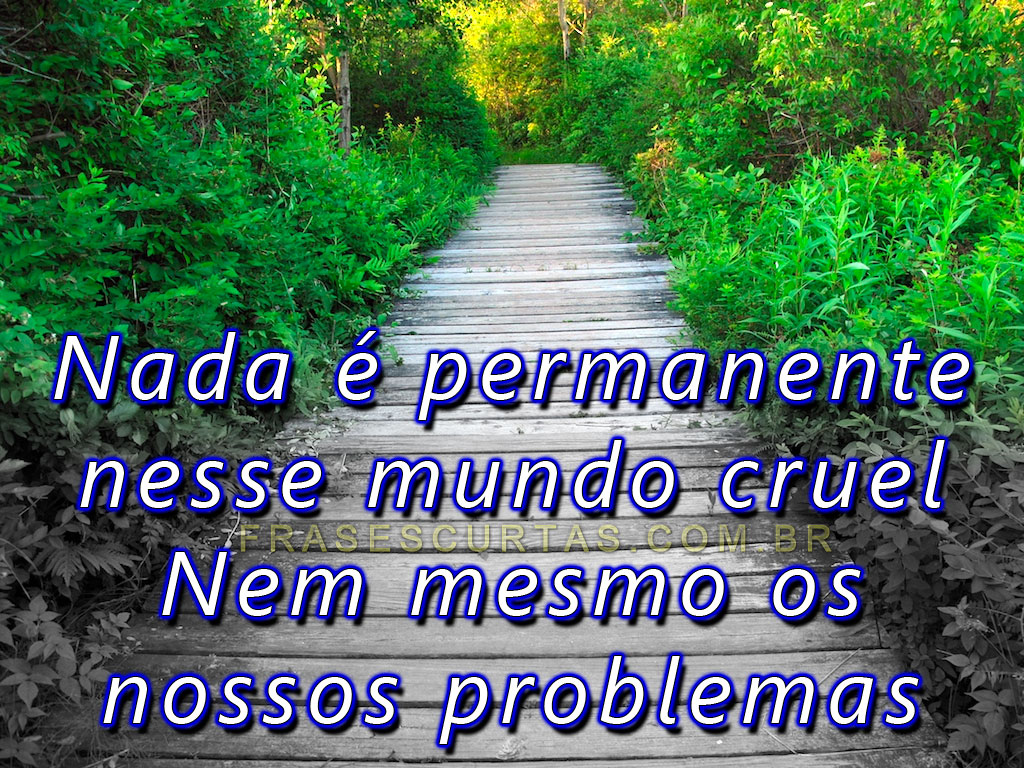 Melhores Frases e Opiniões de Grandes Personalidades Mundiais - Curta