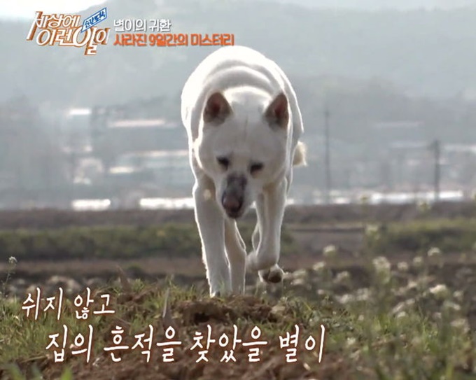 이미지에 대체텍스트 속성이 없습니다; 파일명은 4rp88ki4lxn9h05rx5l1.jpg 입니다.