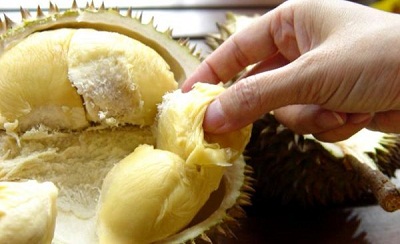 Jenis Durian Lezat yang ada di Indonesia Jenis Durian Lezat yang ada di Indonesia