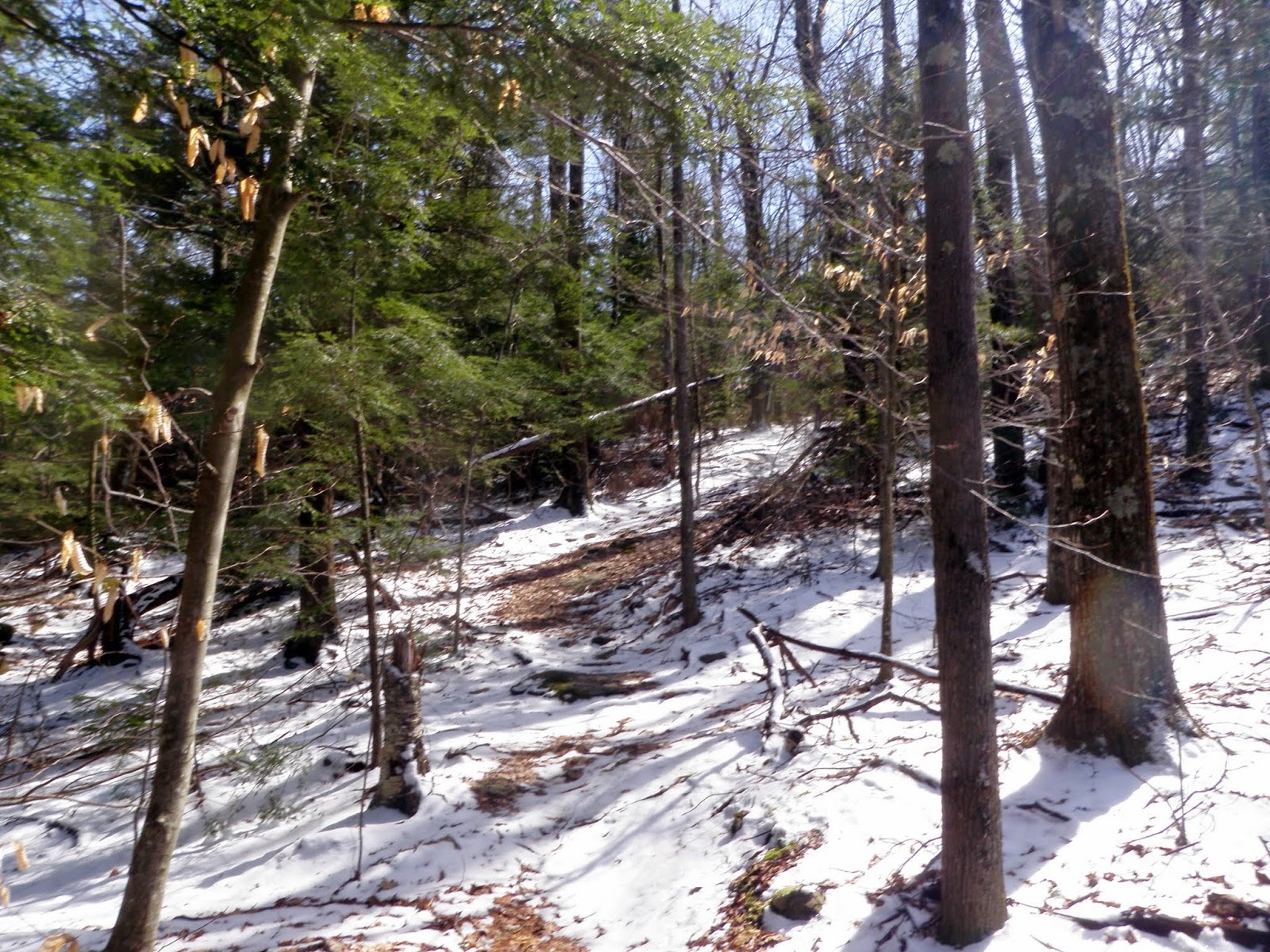 An Idiots Guide to Peakpagging and Hiking in New England The Pinnacle