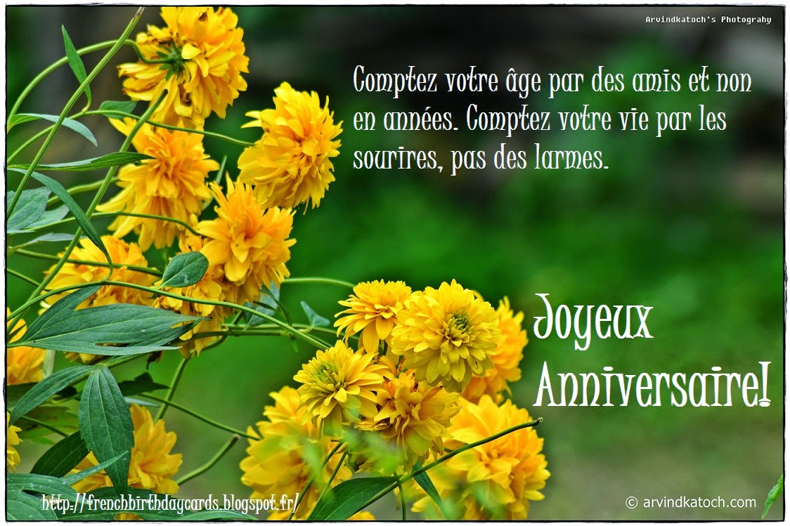 French Birthday Card on Smile Sourires Sourires, Comptez, annees, French Birtdhay Card, Smile, Tears
