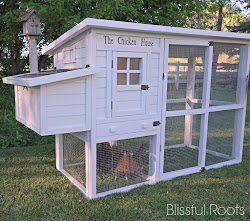chicken coop diy yourself plans coops chickens cutest projects roots reveal dove pen maniac craft backyard build pallet designs coup