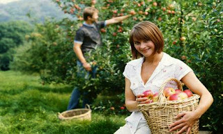 22 Fakta Menarik Tentang Buah Apel