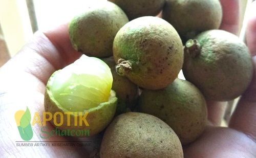 Manfaat Dan Khasiat Buah Kelengkeng Manfaat Dan Khasiat Buah Kelengkeng