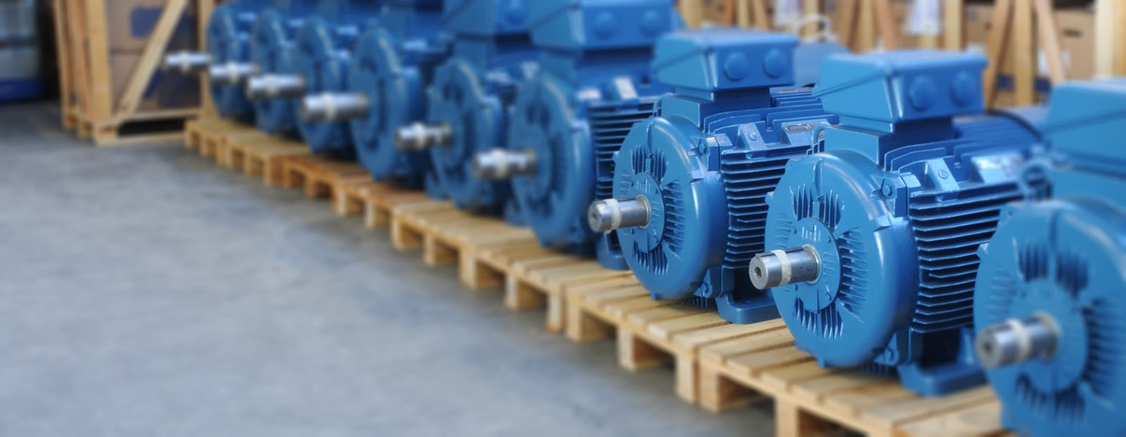 Electricals 9 Motor's