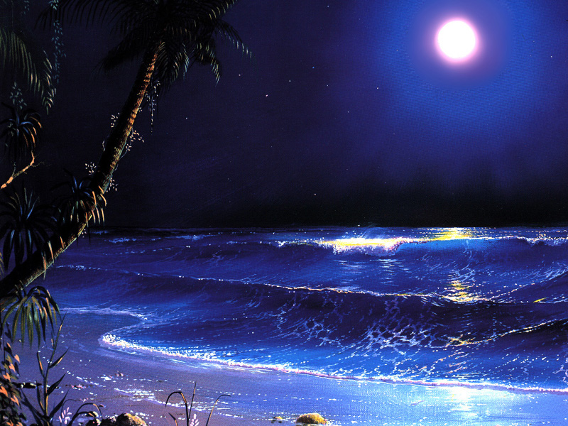 Мерцающие картинки ночь. Ночь в море. Южная ночь. Ночное море gif. Ночное море звезды рыбы.