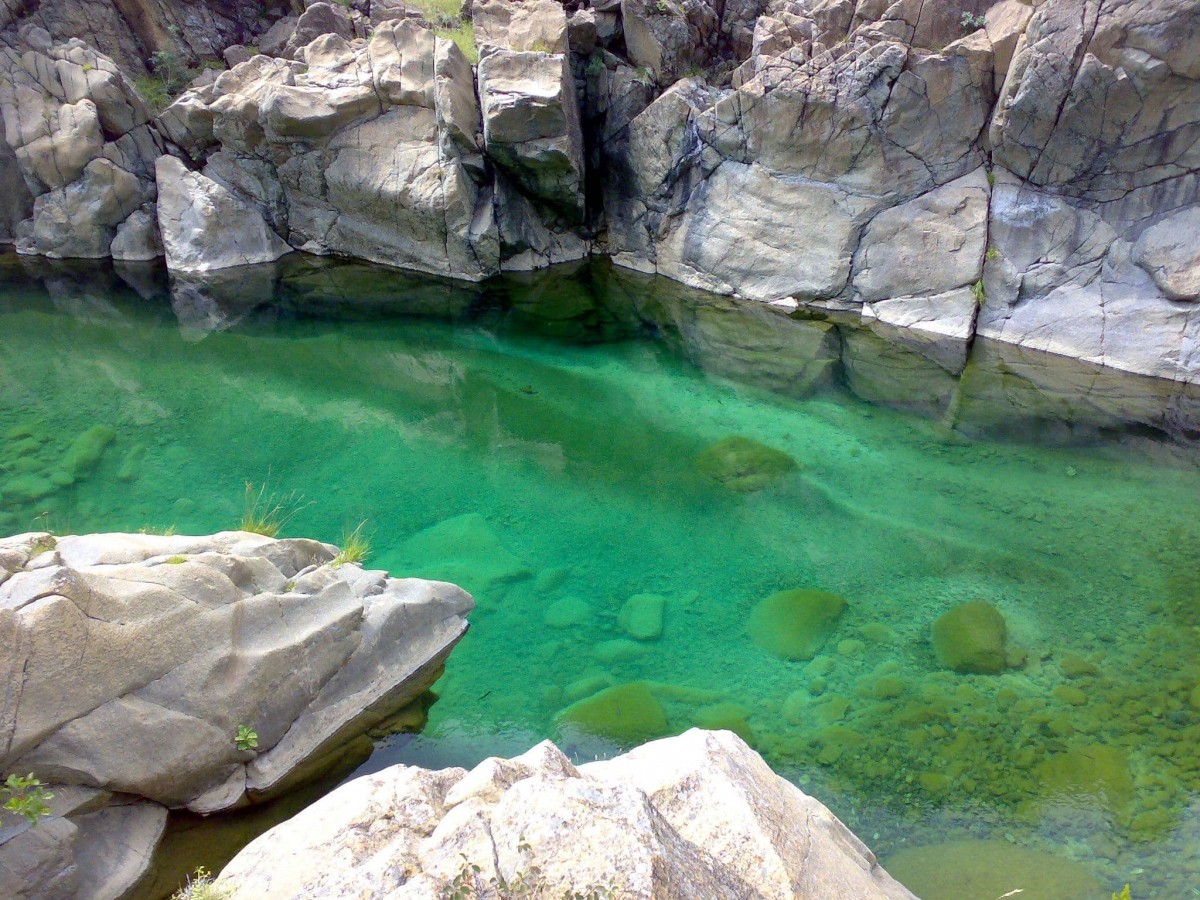 Dall'Appennino alle Alpi Parco delle Capanne di Marcarolo (AL)