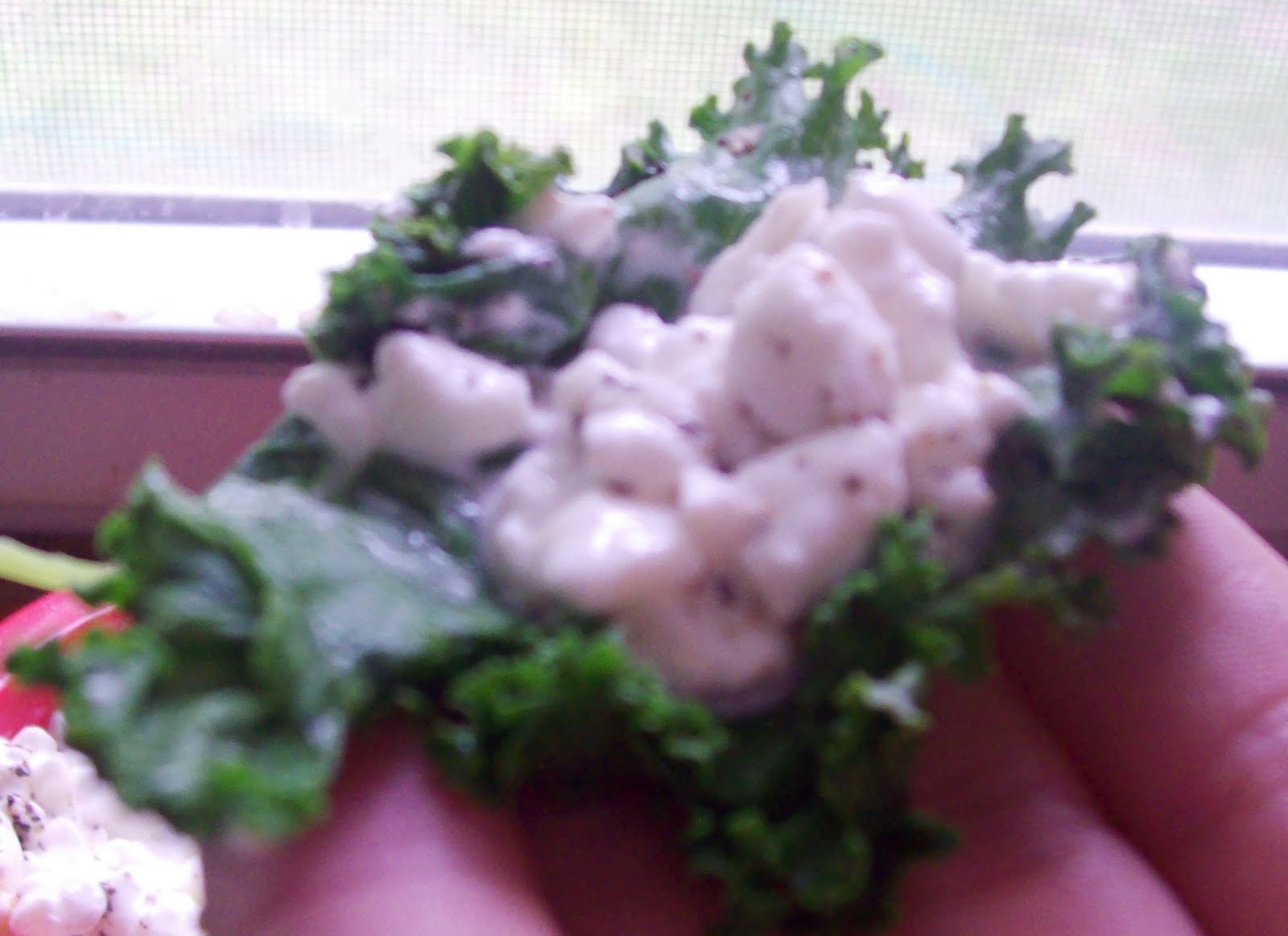Cottage Cheese Kale Bites The Nutritionist Reviews