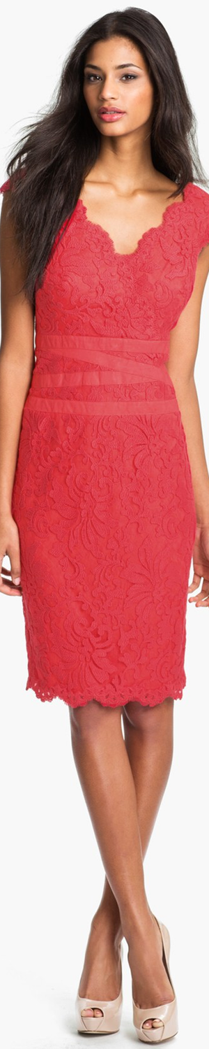 Tadashi Shoji Embroidered Lace Sheath Dress