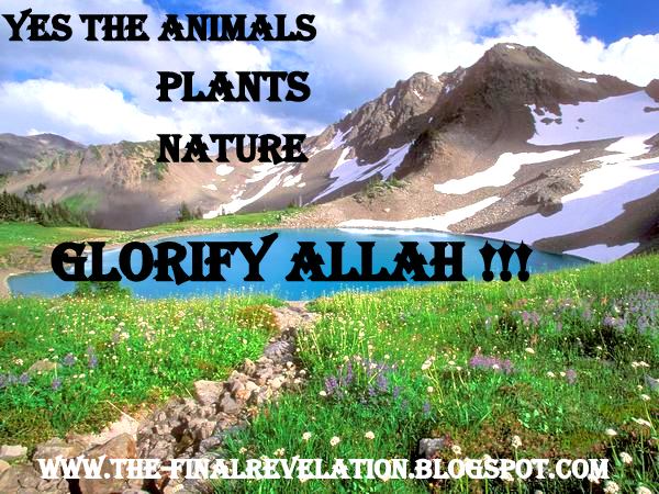 The Final YES THE PLANTS, NATURE GLORIFY ALLAH HONOR HIS MESSENGER