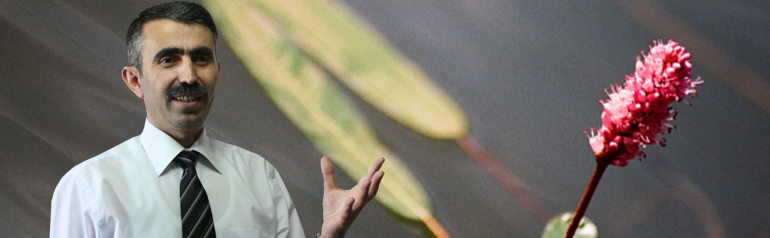 Domuz kanı, kansızlık ve kaçınılmaz tedaviKemal Özer