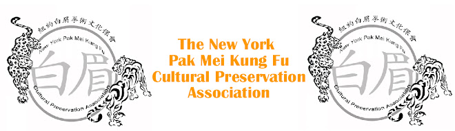 New York Pak Mei Kung Fu