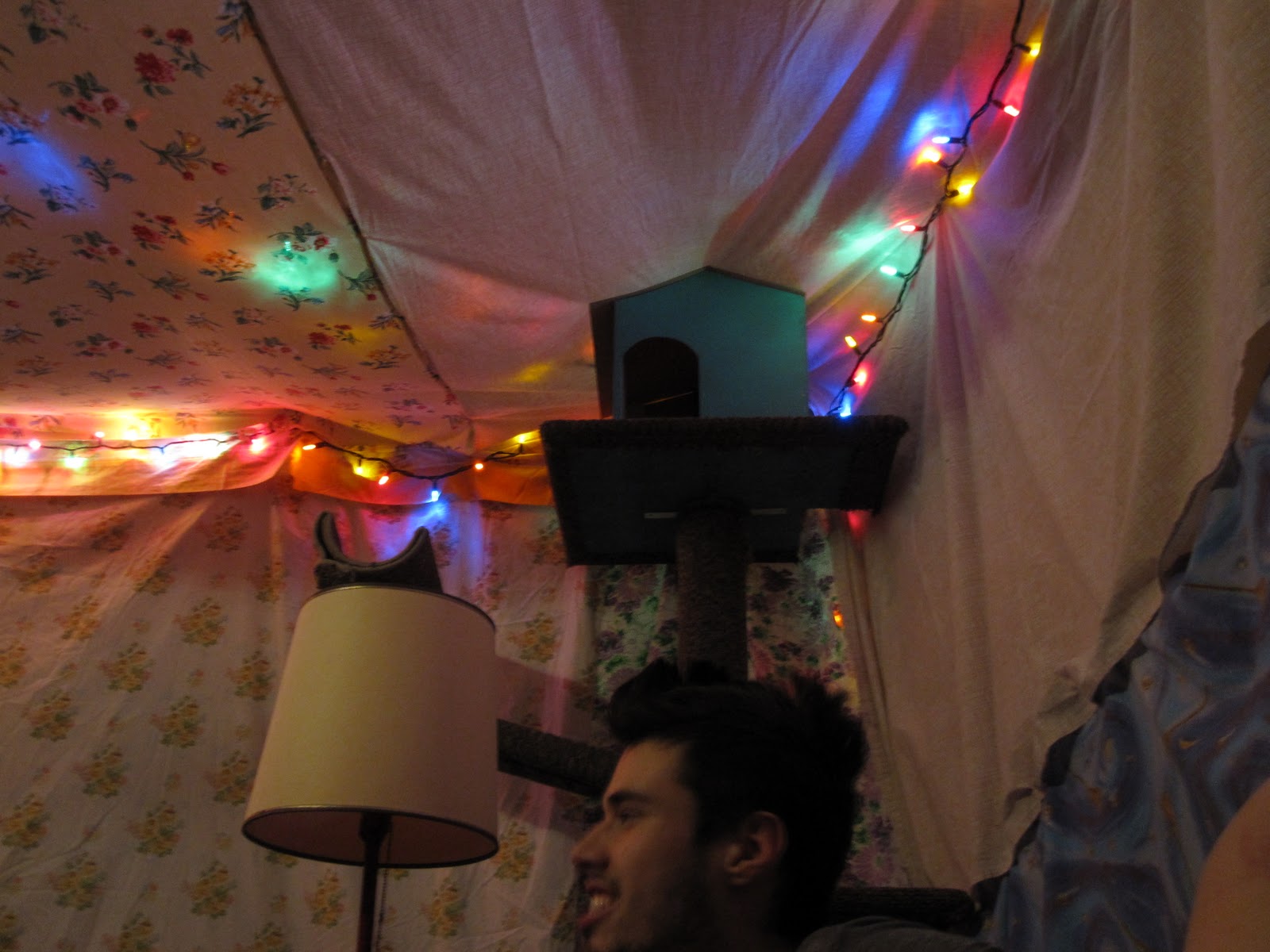 tiny glimpses Blanket fort party!