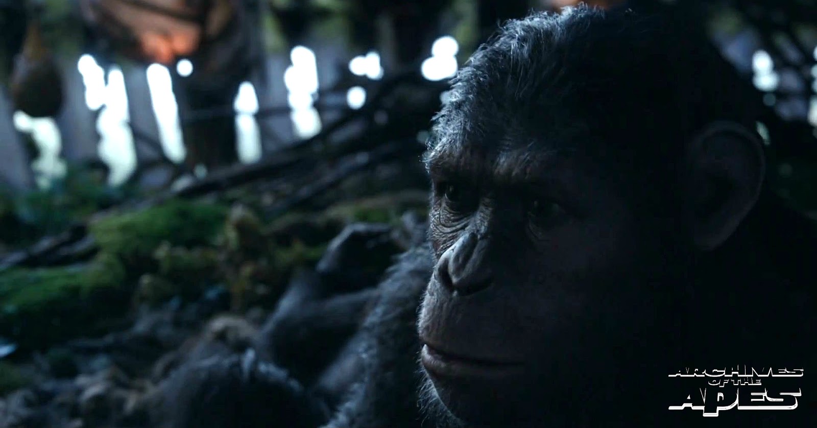 планета обезьян революция обезьяны. планета обезьян революция 3d. планета обезьян революция качество. восстание планеты обезьян 2. планета обезьян 2.