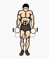 Dumbell Shrugs Dumbell Shrugs