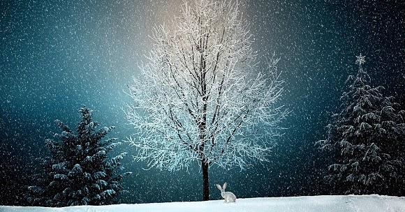 Frasi Sul Mese Di Dicembre Scuolissima Com