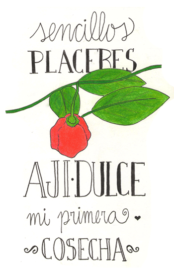 ilustracion aji dulce