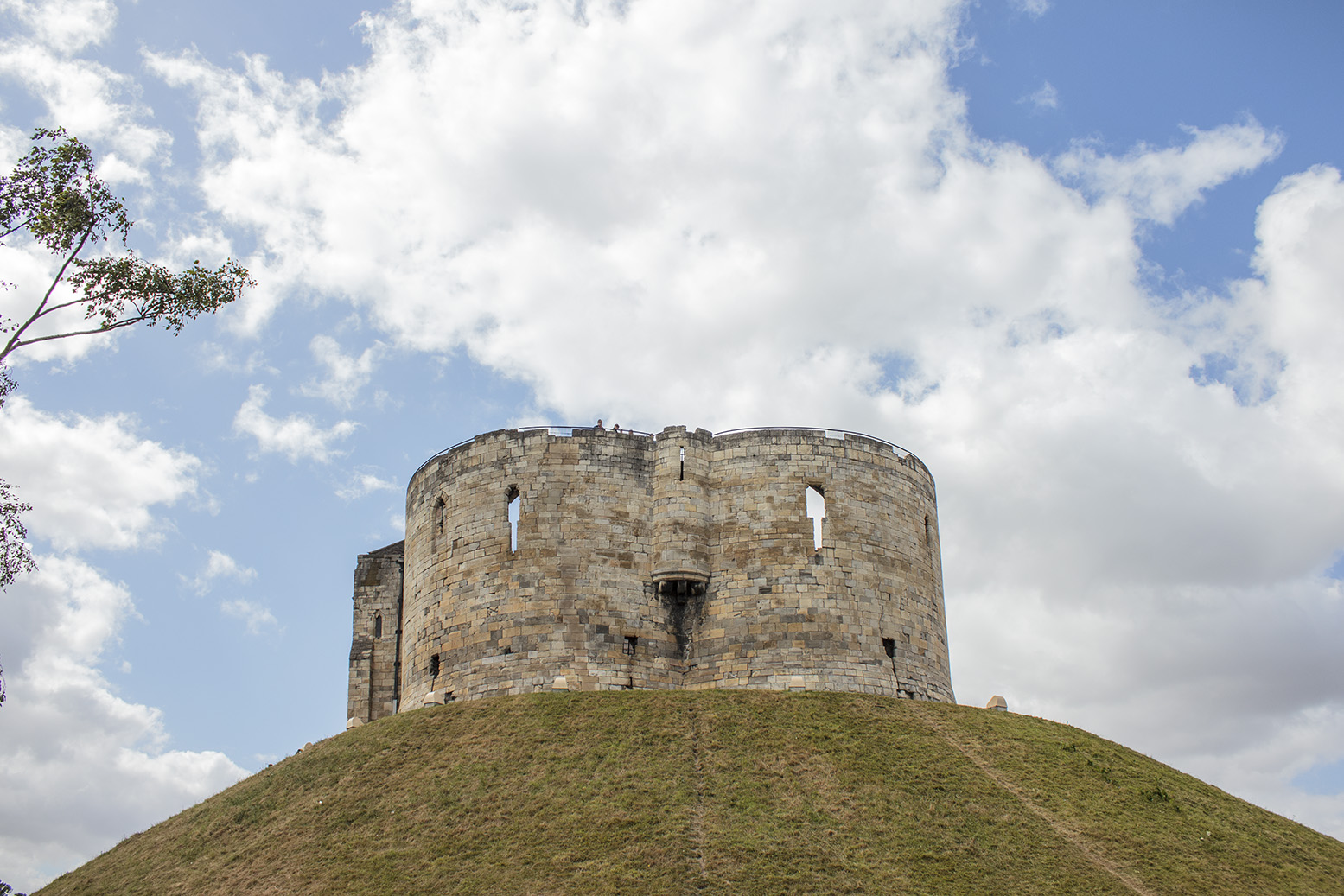 york york