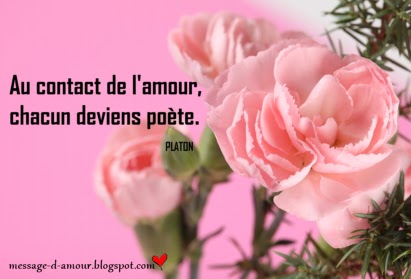 message d'amour jolie citation d'amour avec des jolies fleurs