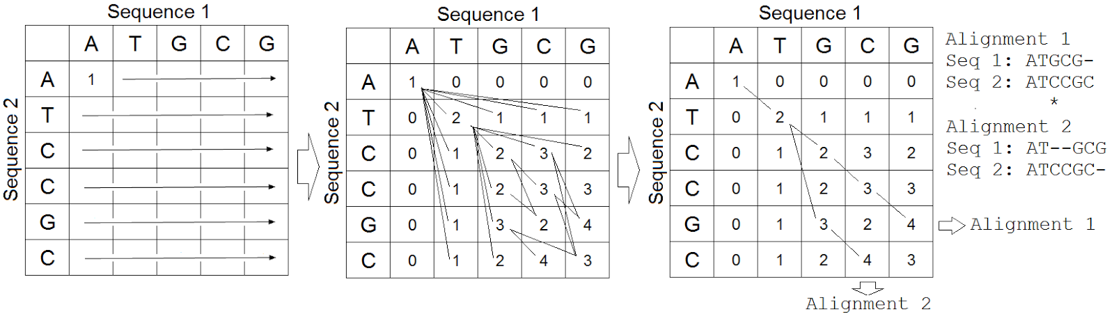 It's Everything About Biology: Sebuah Tulisan Evolusi dan Filogeni ...