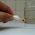 How to Test if Honey is Truly Pure or Not