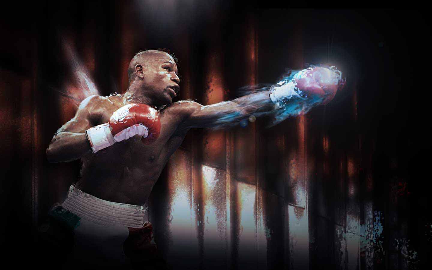 HQ Wallpapers: Boxing Pictures
