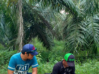 jasa geolistrik/hp 085274510548 jasa geolistrik/hp 085274510548