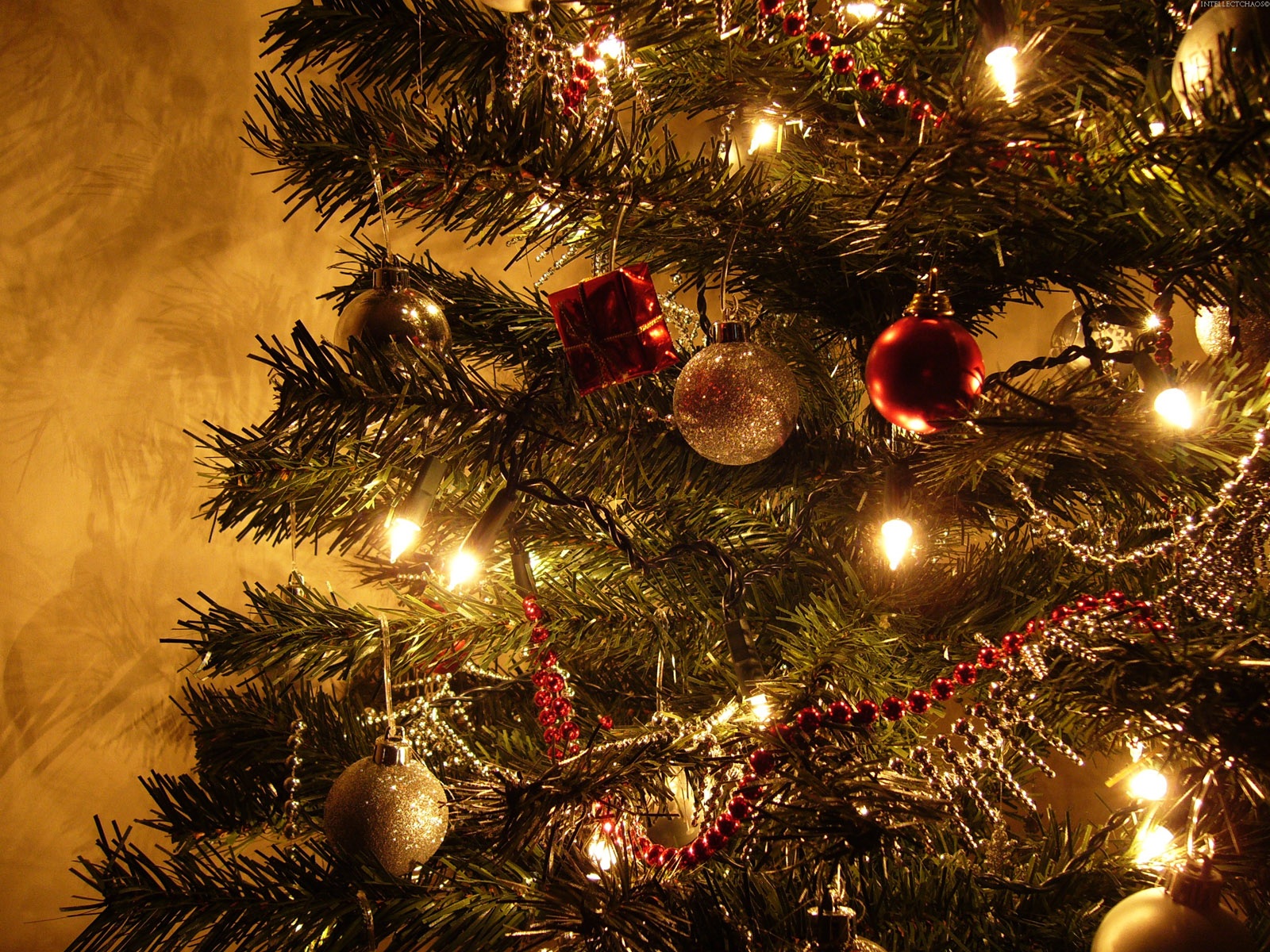uit eigen keuken kerst uit de keuken van levine wat eten we met kerst uit eigen keuken kerst uit de keuken van levine wat eten we met kerst