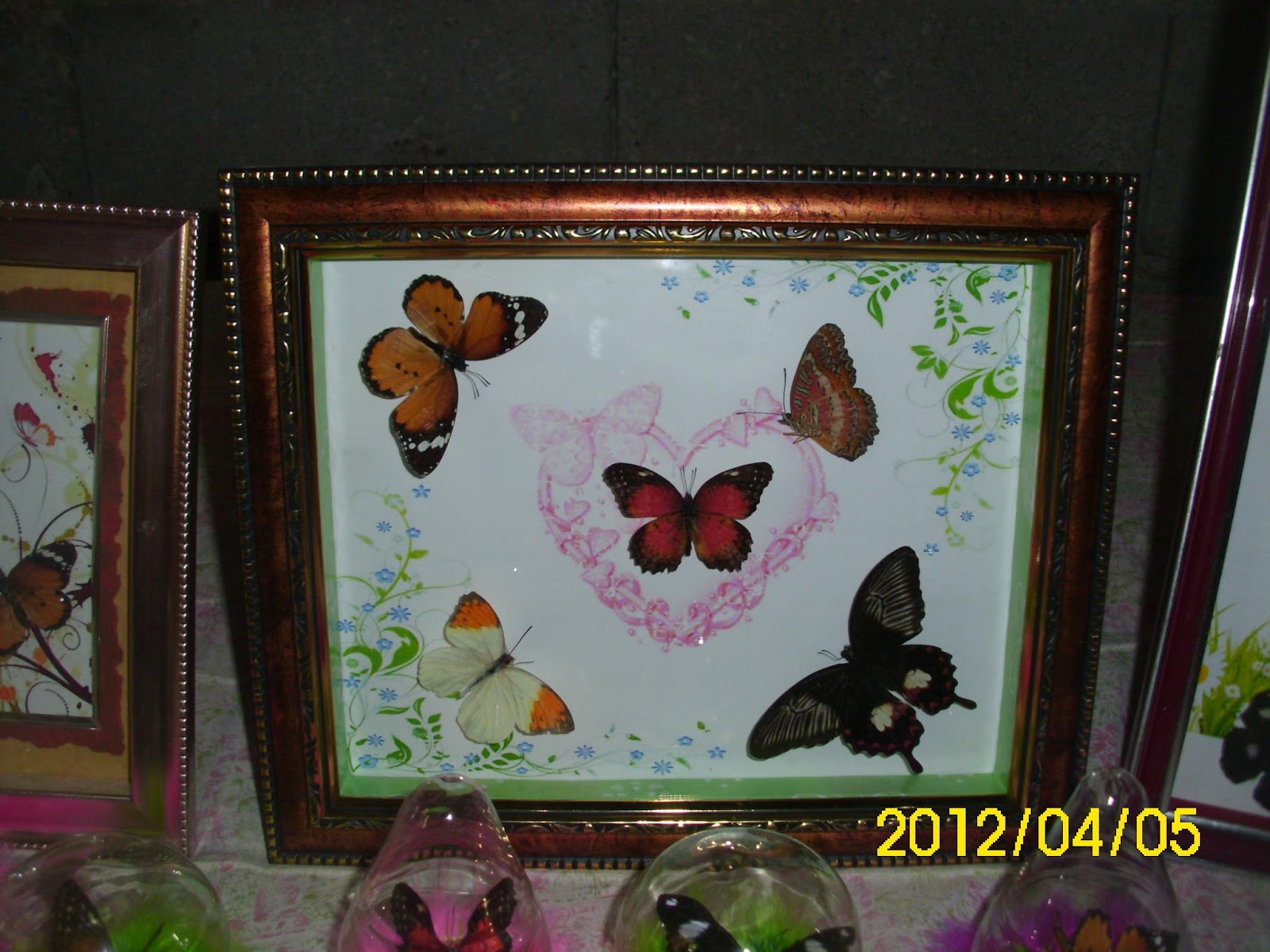 Butterfly Release for Wedding/Occasions Butterfly Souvenir Crystal