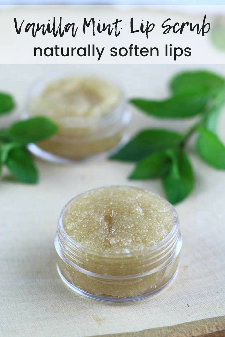 DIY Vanilla Mint Lip Scrub Recipe Everything Pretty