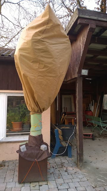 fertig eingewinterte Palme (c) by Joachim Wenk fertig eingewinterte Palme (c) by Joachim Wenk