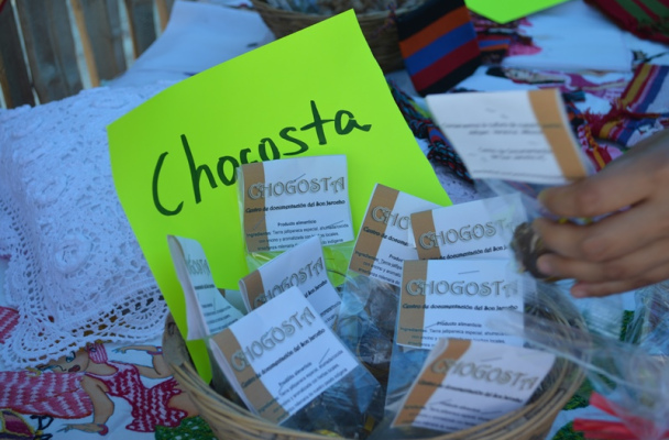 Chogosta: una golosina de tierra comestible de Veracruz