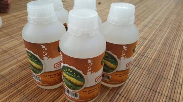 Obat Oles Untuk Menyembuhkan Kulit Bersisik Dan Gatal Obat Oles Untuk Menyembuhkan Kulit Bersisik Dan Gatal